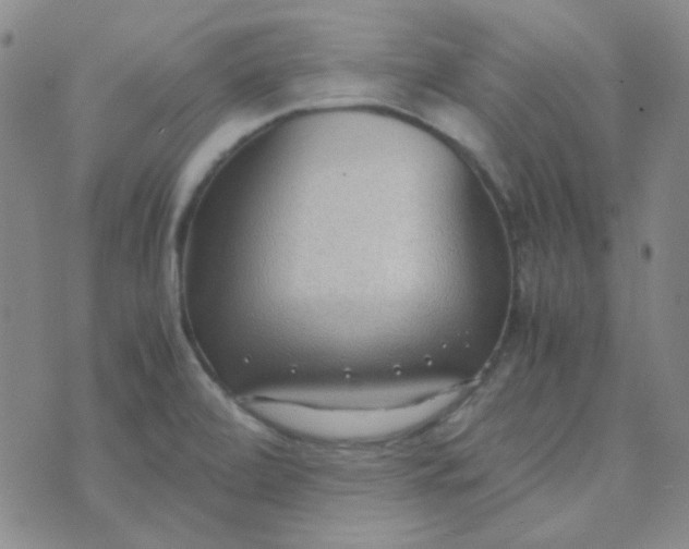 X0000070431472200606231906