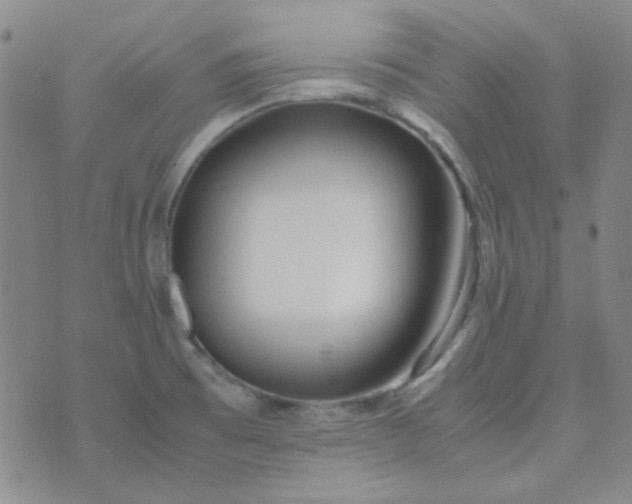 X0000070431473200606231906