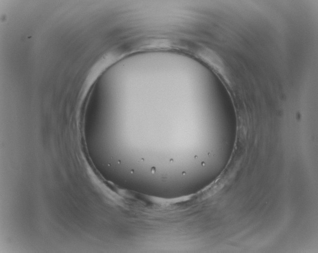 X0000070431475200606231906