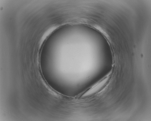 X0000070431477200606231905