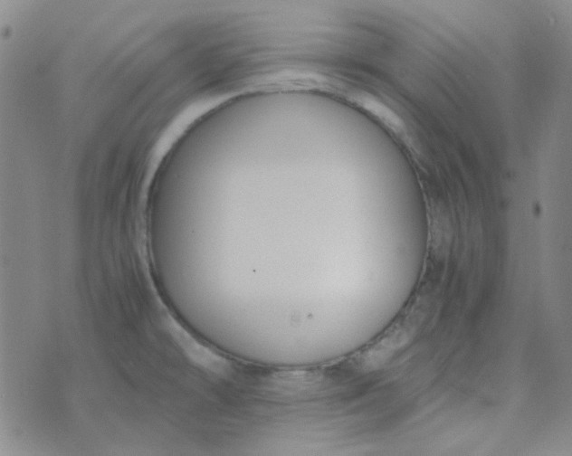 X0000070431478200606231905