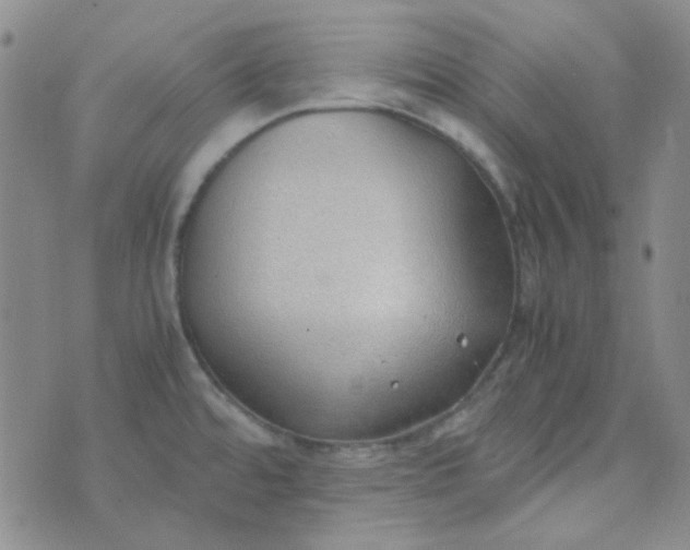 X0000070431480200606231905