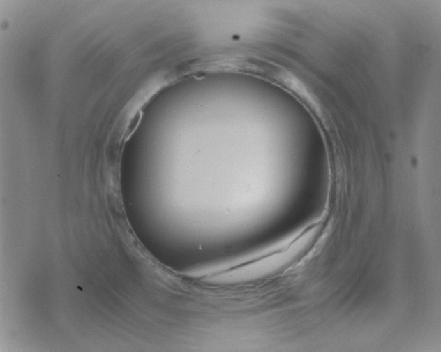 X0000070431481200606231905