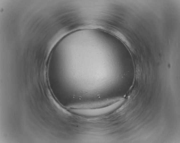 X0000070431484200606231905