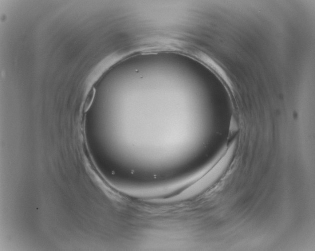 X0000070431485200606231905