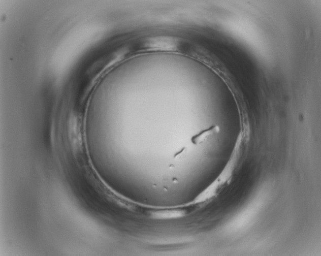 X0000070431487200606231905