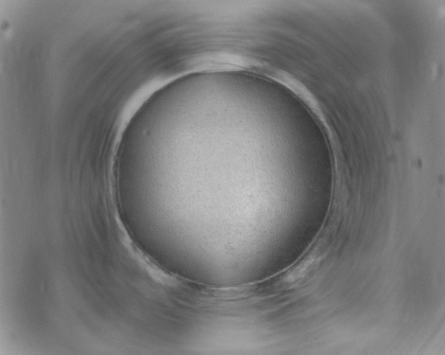 X0000070431488200606231905