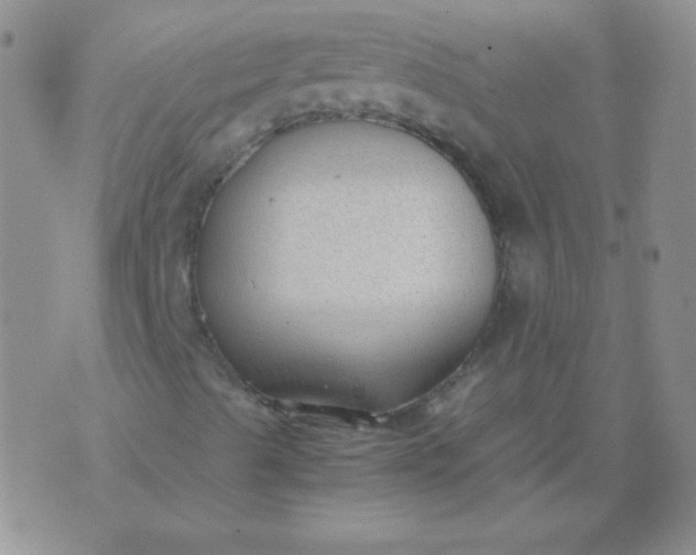 X0000070431489200606231905