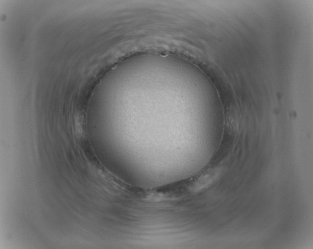 X0000070431490200606231905