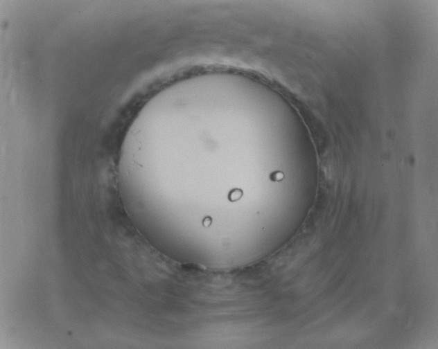 X0000070431495200606231905