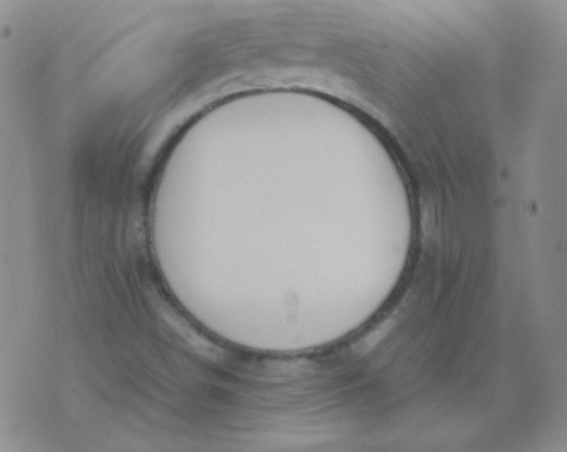 X0000070431498200606231905