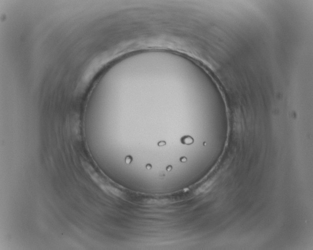 X0000070431499200606231905