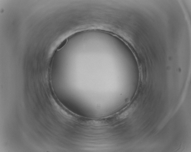 X0000070431500200606231905