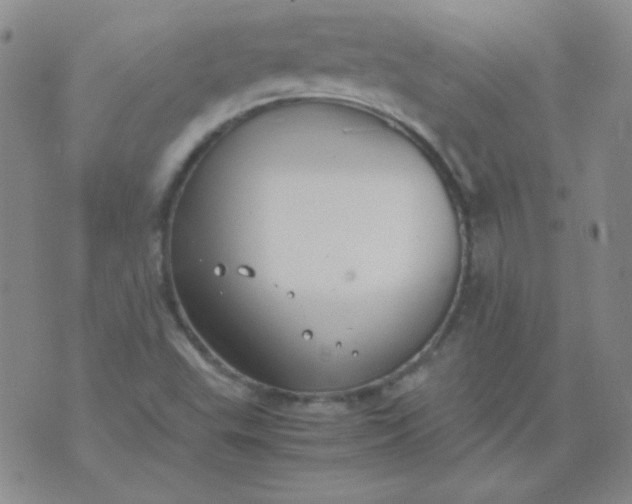 X0000070431503200606231905