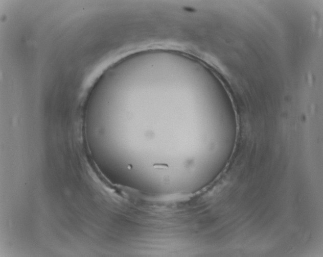 X0000070431504200606231905