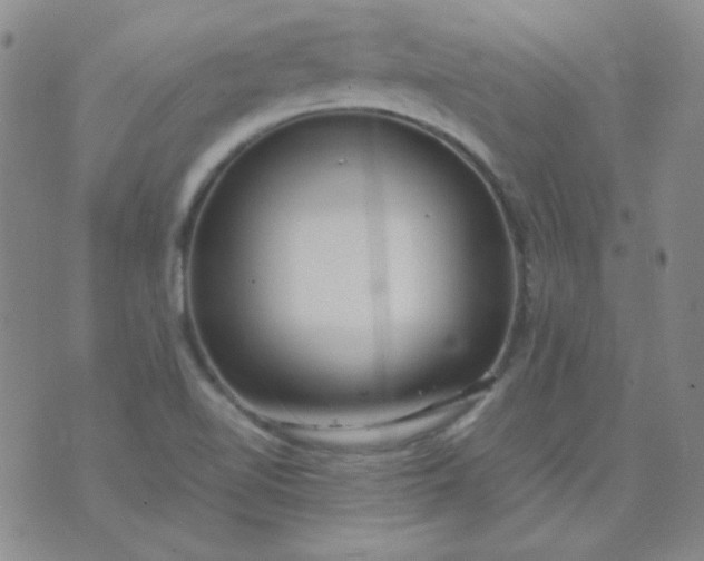 X0000070431510200606231905