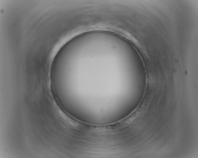 X0000070431512200606231905