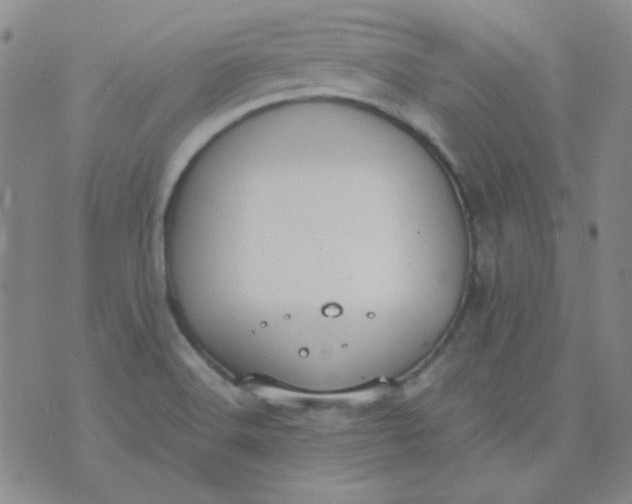 X0000070431516200606231905