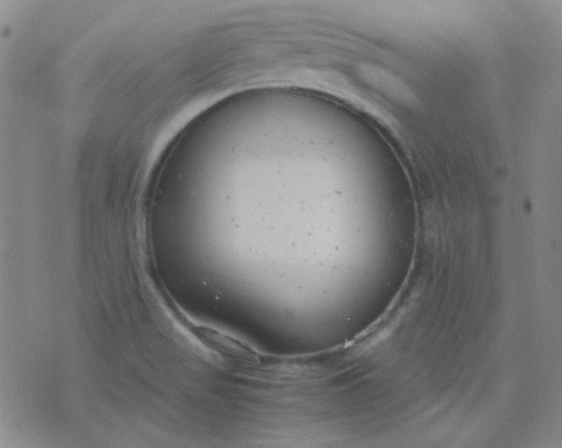 X0000070431517200606231905