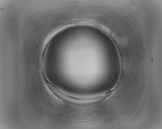 X0000070431520200606231905