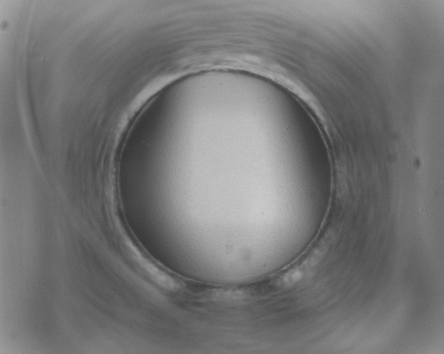 X0000070431525200606231905