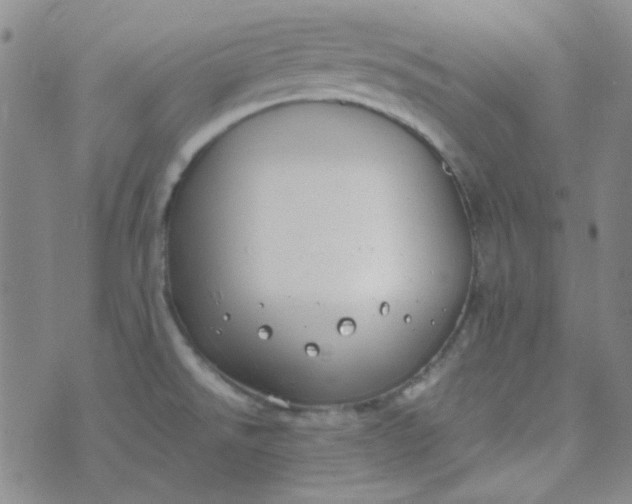 X0000070431526200606231905