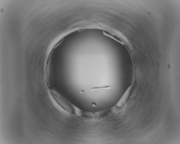 X0000070431528200606231905