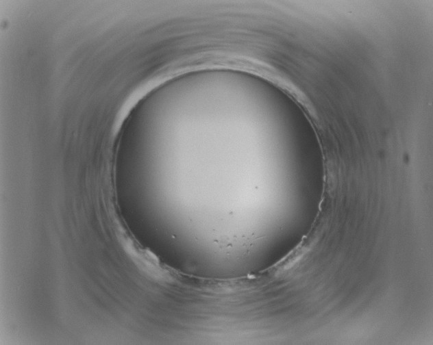 X0000070431530200606231905