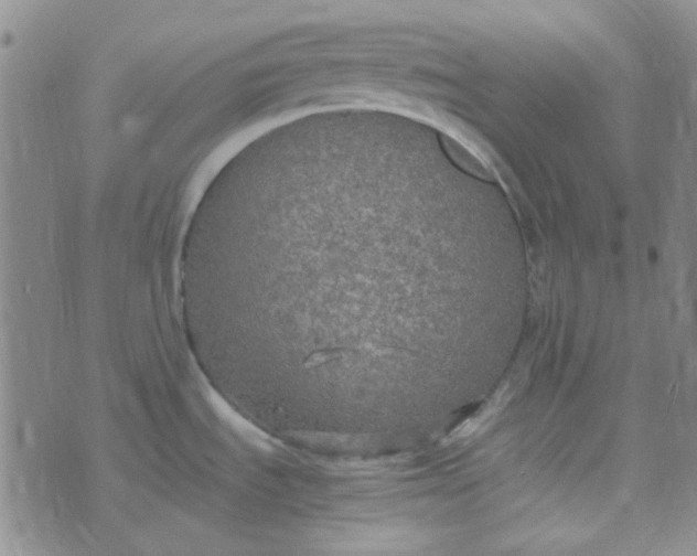 X0000070431535200606231905