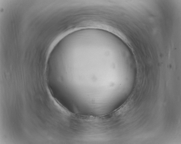 X0000070431536200606231905