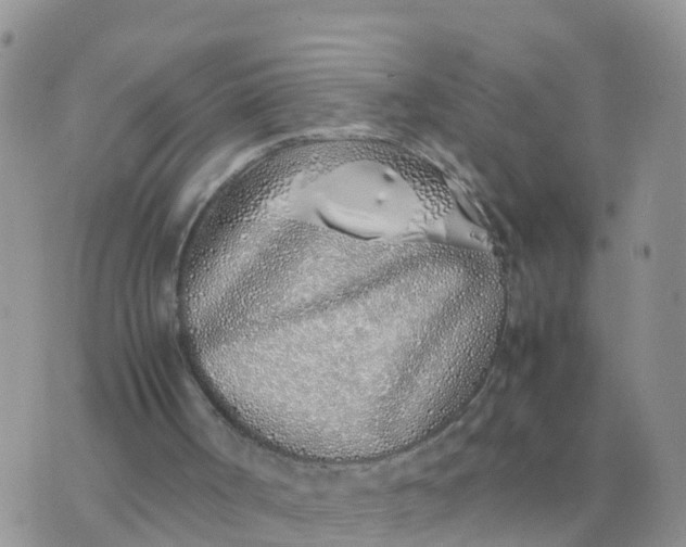 X0000070430002200606302138