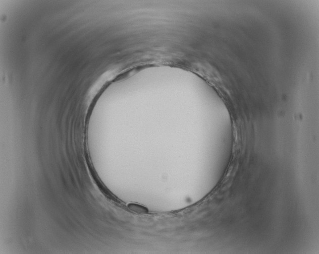 X0000070430003200606302138