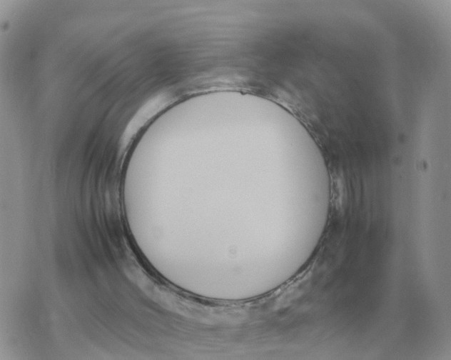 X0000070430004200606302138