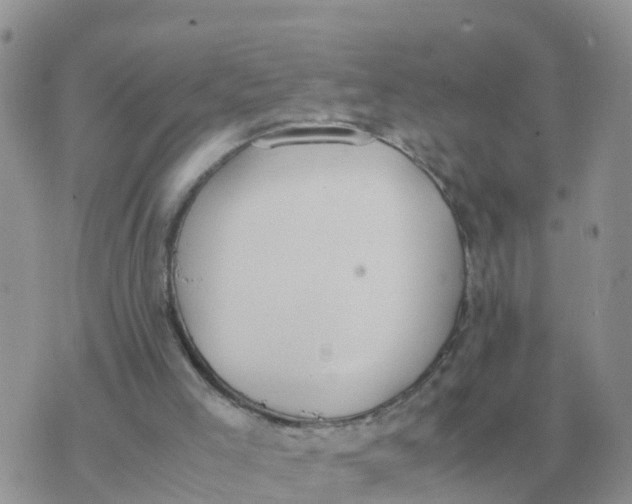 X0000070430005200606302138