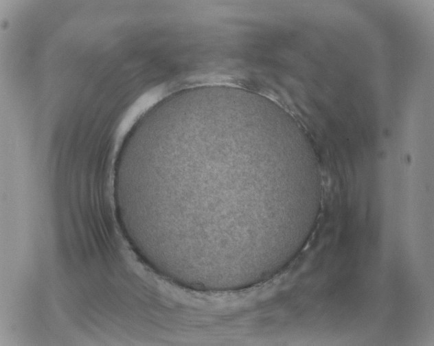 X0000070430006200606302138