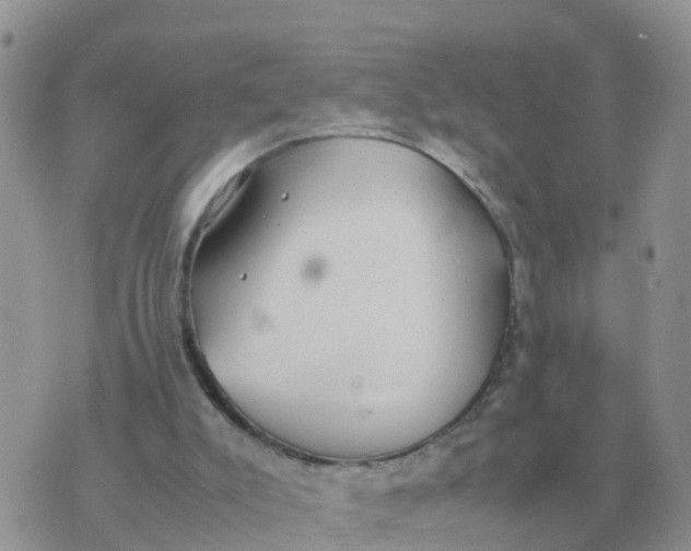 X0000070430007200606302138