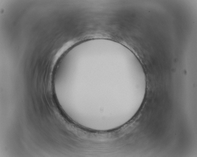 X0000070430008200606302138