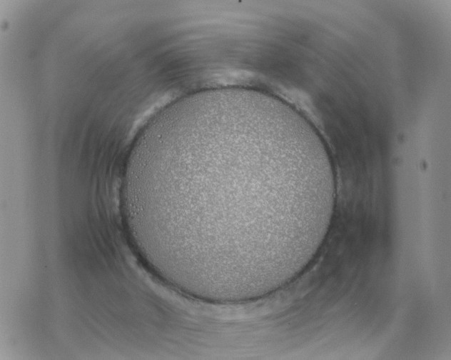 X0000070430010200606302138