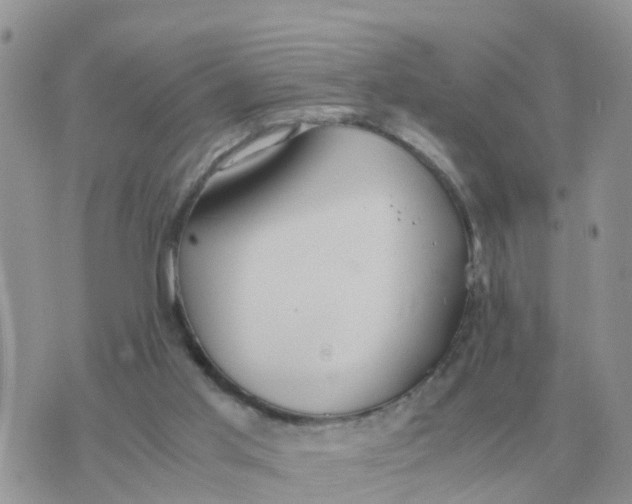 X0000070430013200606302138