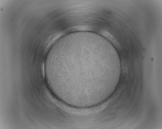 X0000070430014200606302138