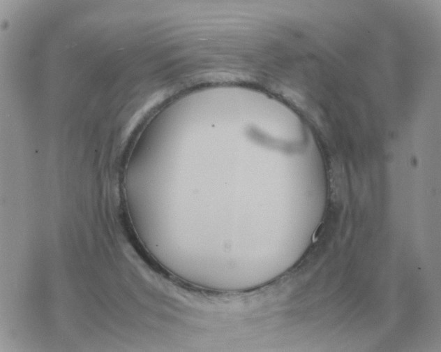 X0000070430015200606302138