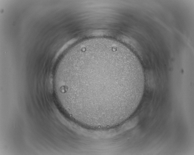 X0000070430016200606302138