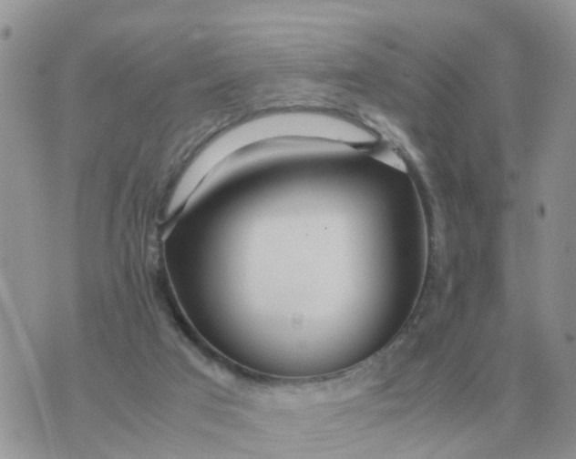 X0000070430017200606302138