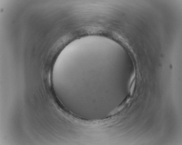 X0000070430019200606302137