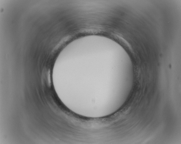 X0000070430020200606302137