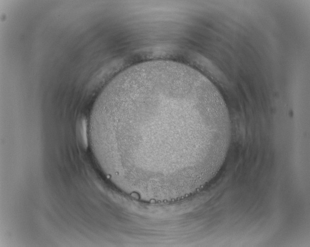 X0000070430022200606302137