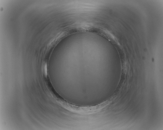 X0000070430027200606302137