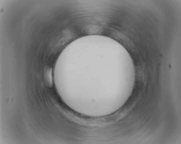 X0000070430028200606302137