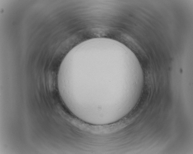 X0000070430030200606302137