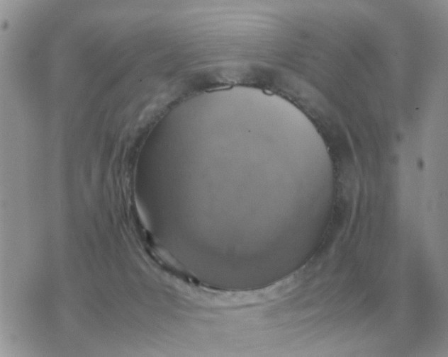 X0000070430031200606302137